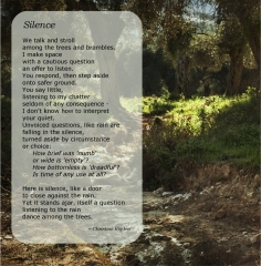 Silence (by Christine Rigden, from Metamorphosis)