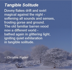 Tangible Solitude (by Christine Rigden, from Mis-steps & Dances)