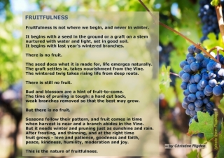 Fruitfulness (Christine Rigden 2023)