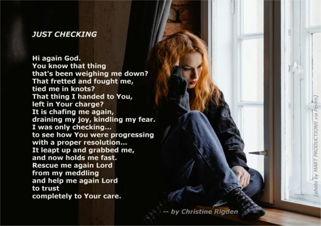 Just Checking (Christine Rigden, 2024)